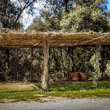 Domek alpejski Masia Exclusiva En El Baix Emporda Monells