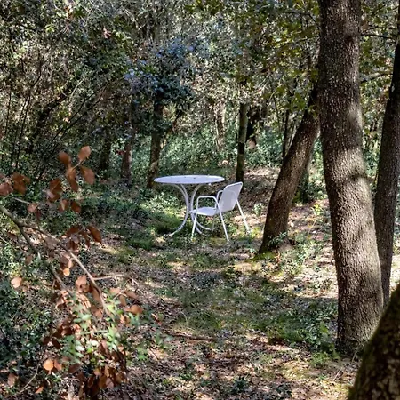 Domek alpejski Masia Exclusiva En El Baix Emporda Monells